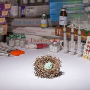 Team Page: This Is Trying.